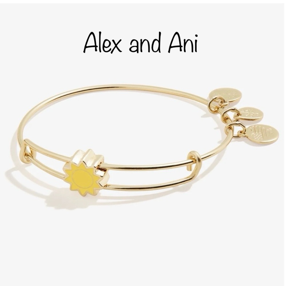 NWT Alex and Ani Sun Inline Charm Bangle